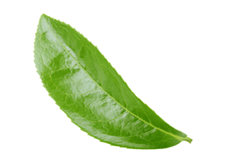圖
