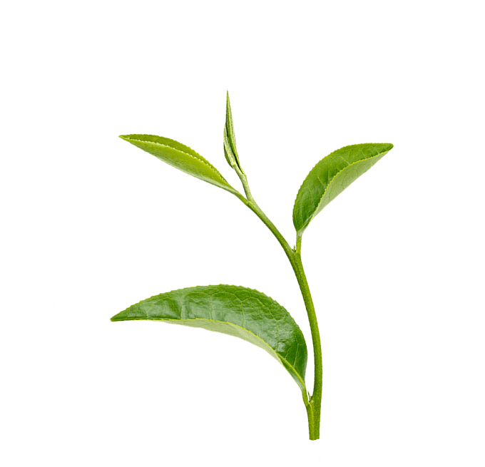 圖