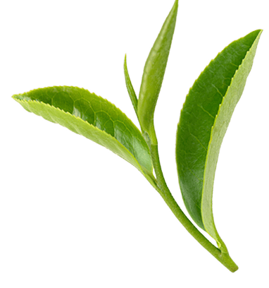 圖