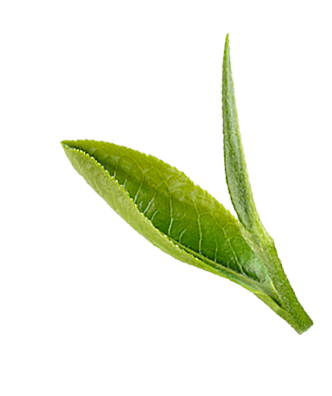 圖