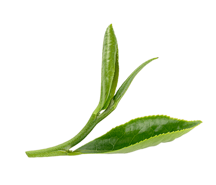 圖
